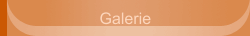 Galerie